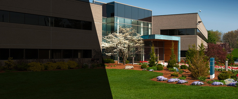 Maryland Landscapers